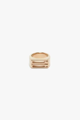 Anello con sigillo Dorian in oro