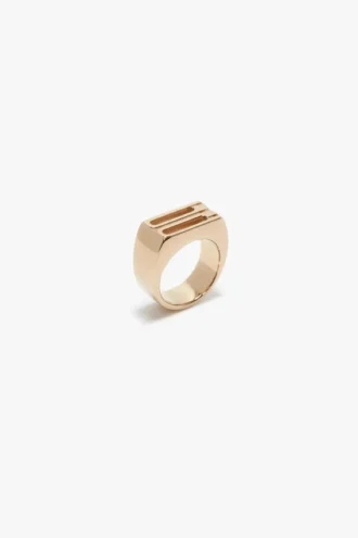 Anello con sigillo Dorian in oro